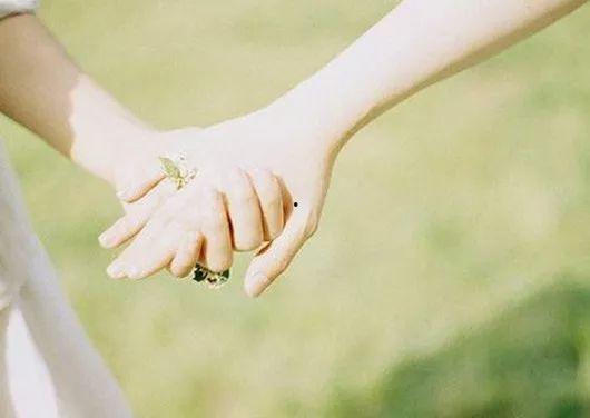 牵手花图片,浪漫邂逅的美丽瞬间