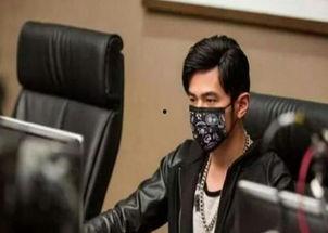 明星开网吧,明星开网吧，娱乐与科技交融的时尚空间